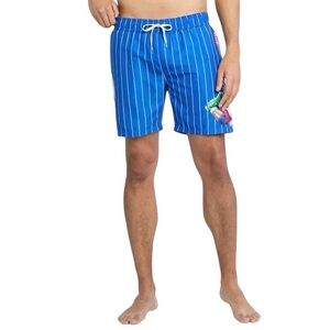 Big League Chew Striped Men's Swim Shorts- Large